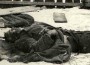 Crimele bolsevicilor asupra romanilor Crimele bolsevicilor asupra romanilor