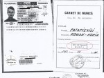Carte de Munca Patapievici CNSAS ICR Fabrica de Geamuri