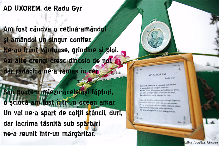Mormantul lui Radu Gyr de la Manastirea Petru Voda