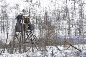 Bilet de lup - Romani deportati in Siberia - Stindard - Manuela Morar