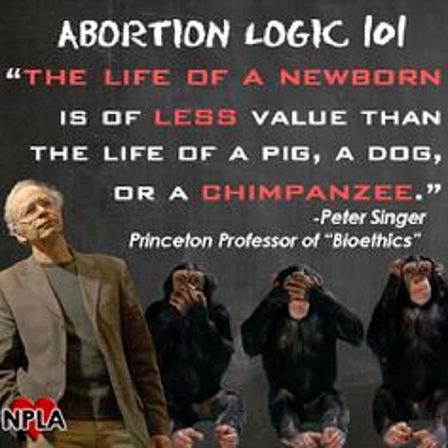 Peter Singer cimpanzeu