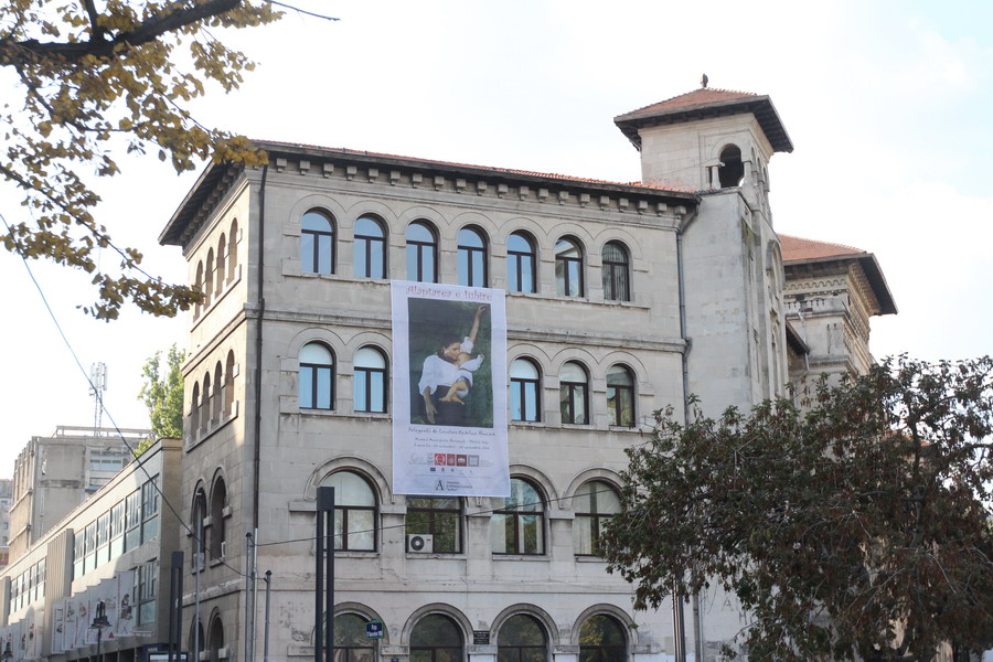 12 Instalare Banner Aniela Petreanu - Arhitectura - Alaptarea e Iubire de Cristina Nichitus Roncea